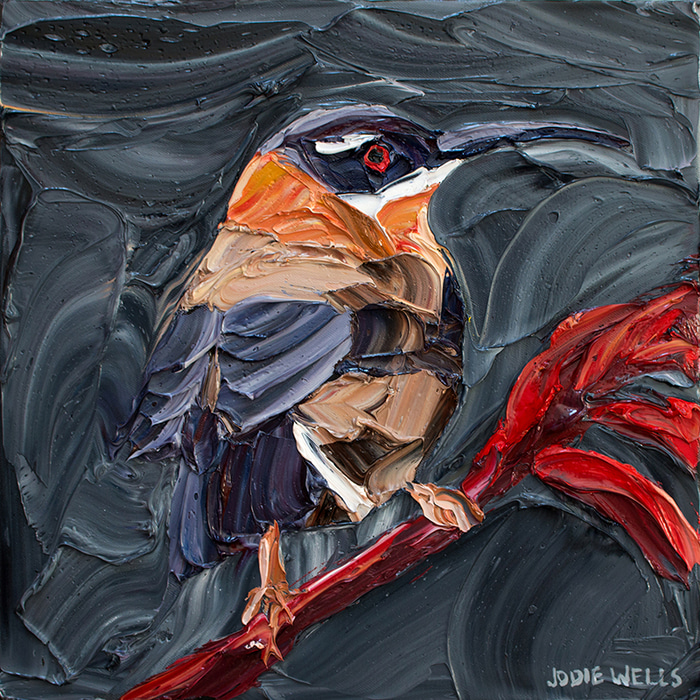 Wistful Spinebill by Jodie Wells | Lethbridge Gallery